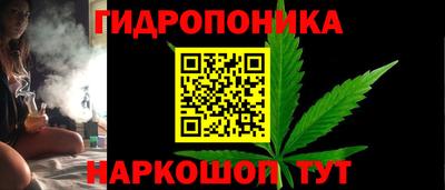 сатива Сланцы