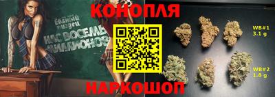сатива Сланцы