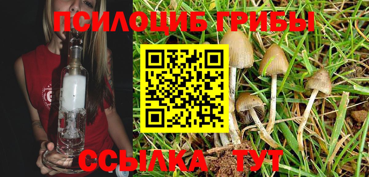 Галлюциногенные грибы MAGIC MUSHROOMS Прокопьевск